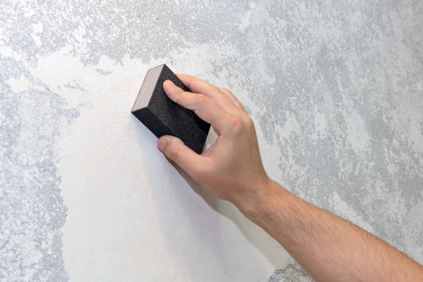 Best Post-Construction Mold Inspection  in Washburn, ND