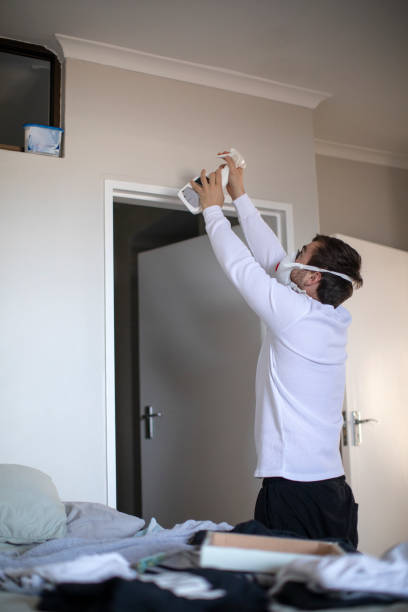 Best Mold Documentation for Insurance Claims  in Washburn, ND