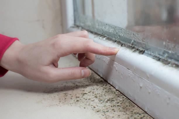Best Post-Remediation Verification Testing  in Washburn, ND