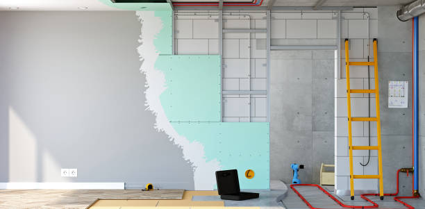 Best Black Mold Removal  in Washburn, ND