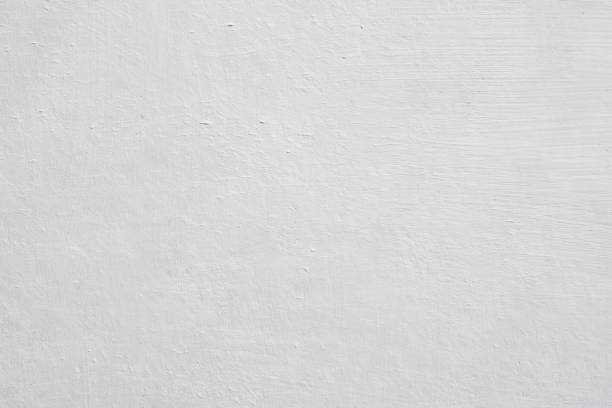 Best Commercial Mold Inspection  in Washburn, ND