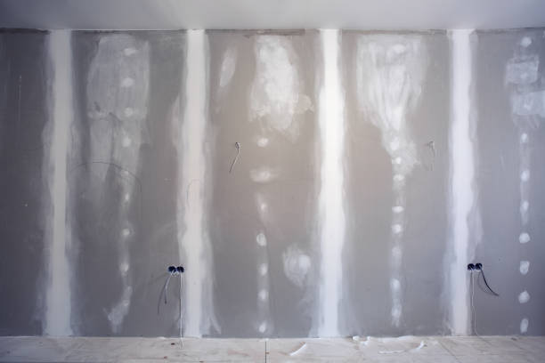 Trusted Washburn, ND Mold Removal Experts